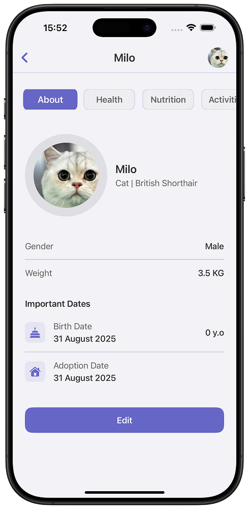 Calendar Illustration