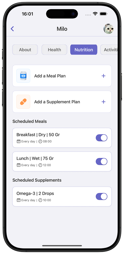 Features Illustration